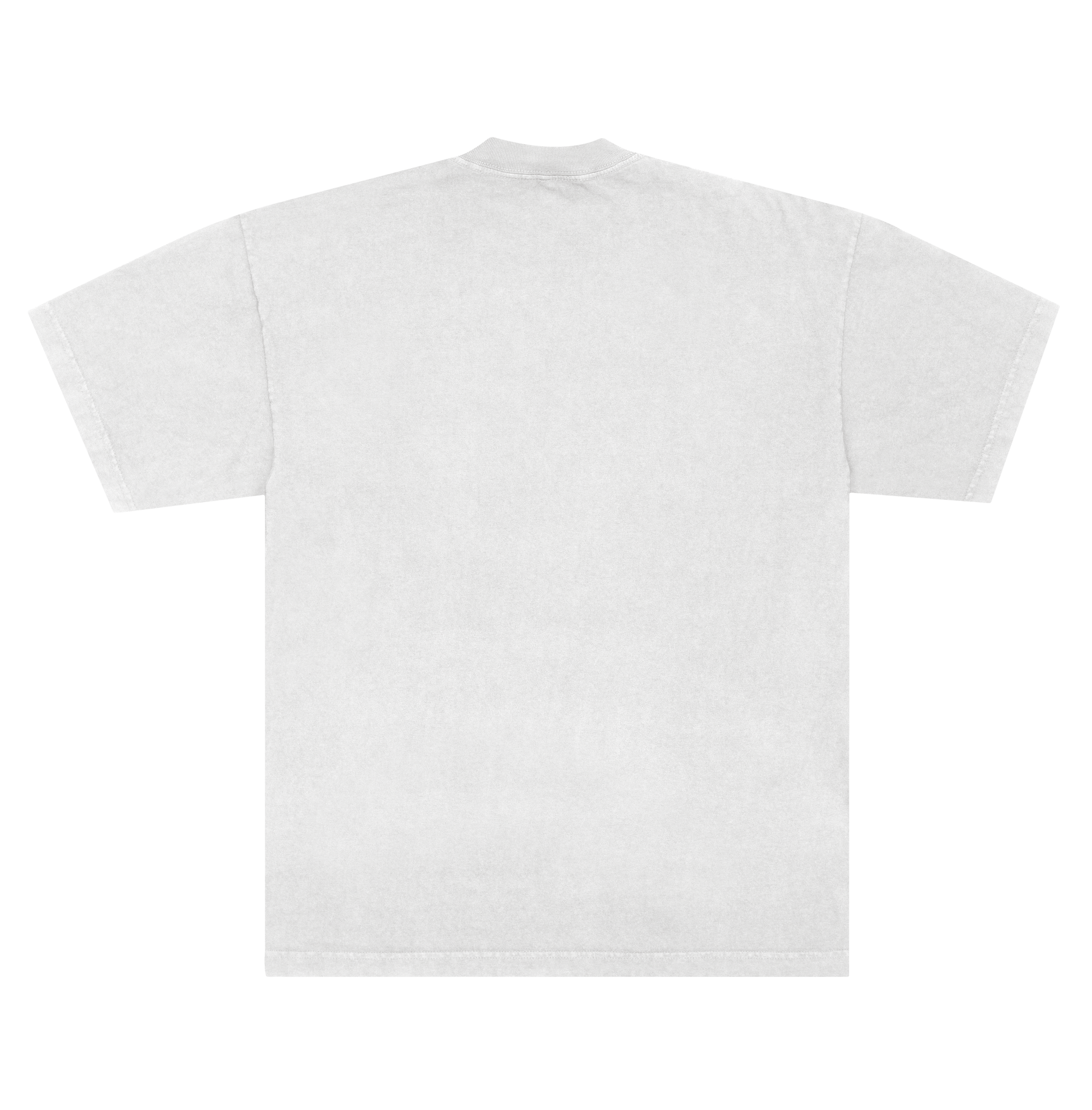 Camiseta BRASIL