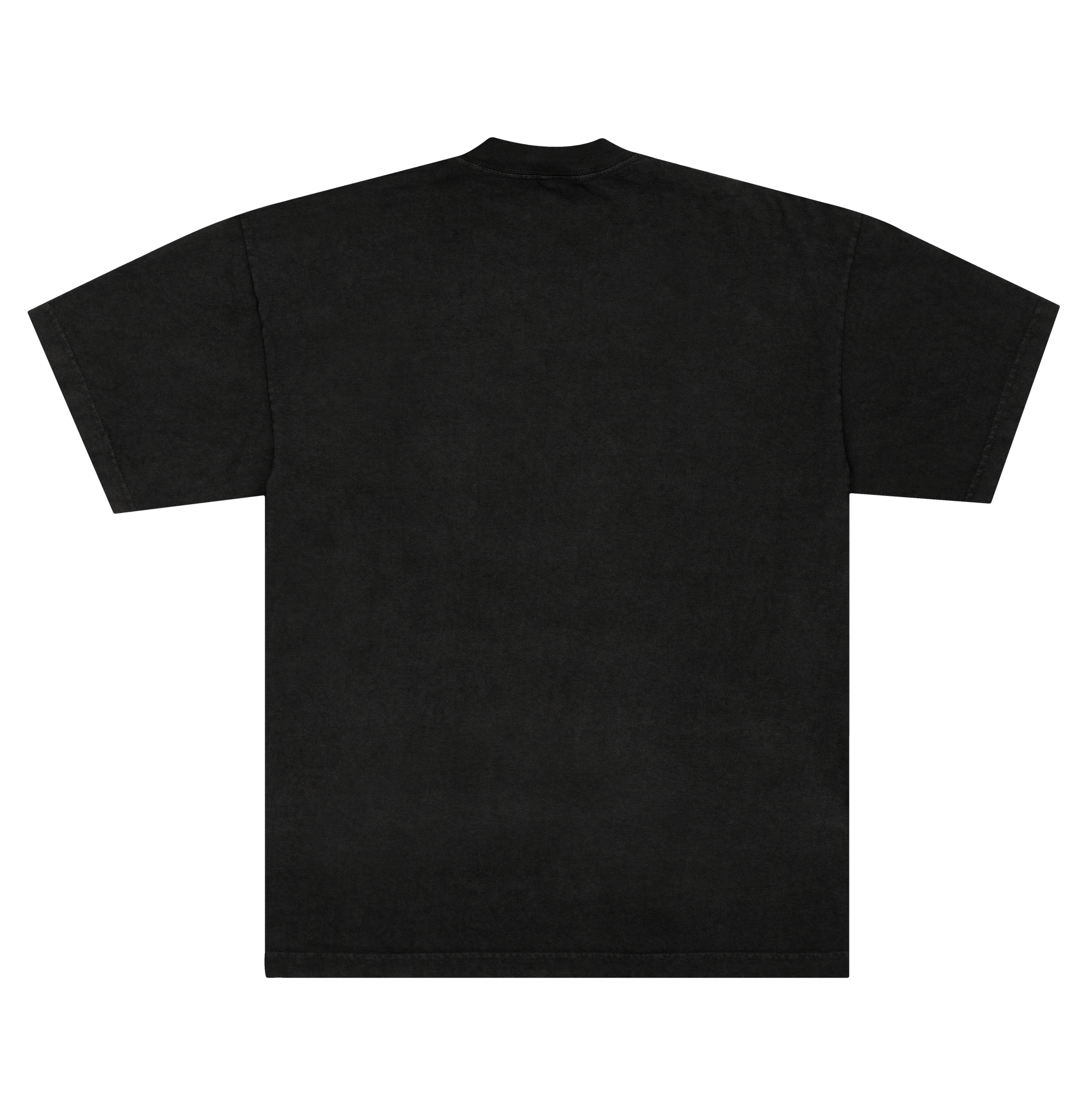 Camiseta BRASIL